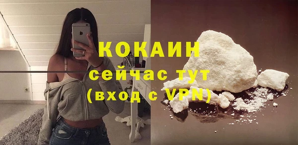 твердый Алзамай