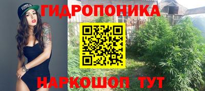 спайс Малгобек