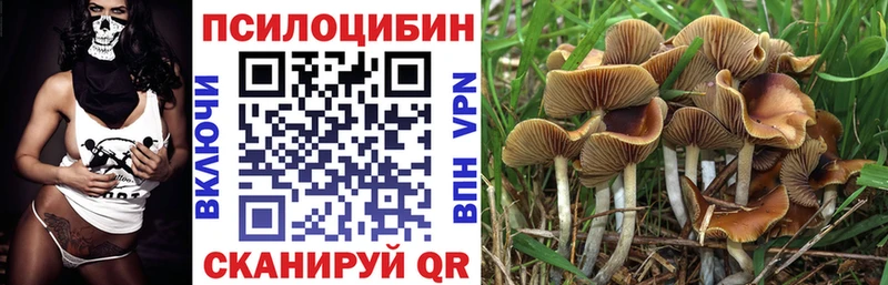 Галлюциногенные грибы MAGIC MUSHROOMS  мориарти наркотические препараты  Шатура 