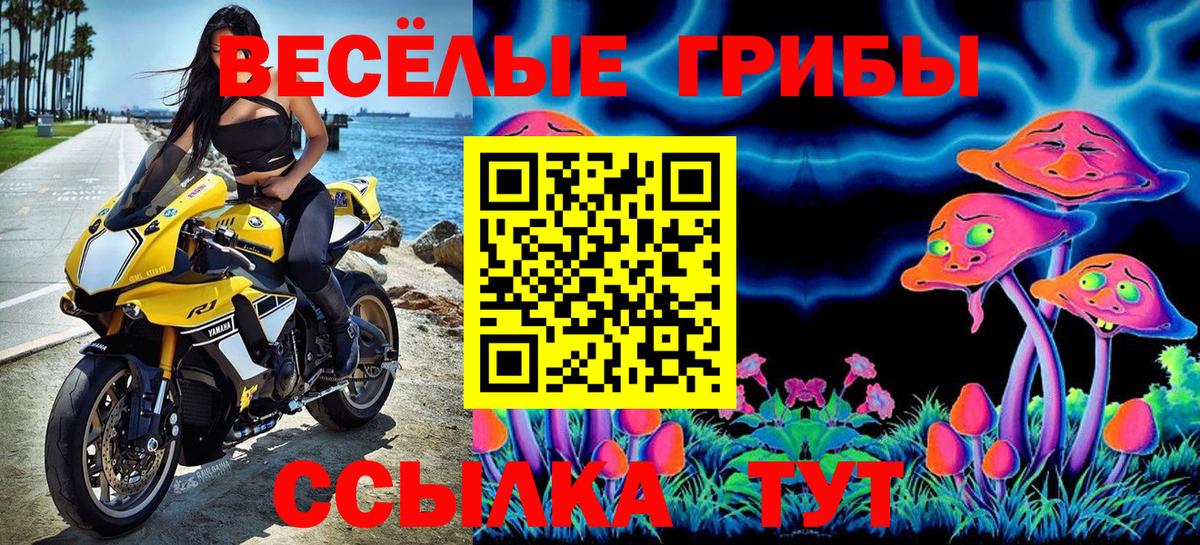 Шатура  Галлюциногенные грибы мицелий  наркошоп  Галлюциногенные грибы Psilocybine cubensis  Вход с VPN 